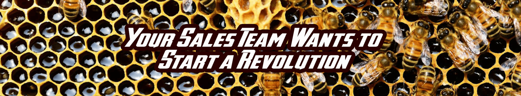 Your sales team wants to start a revolution