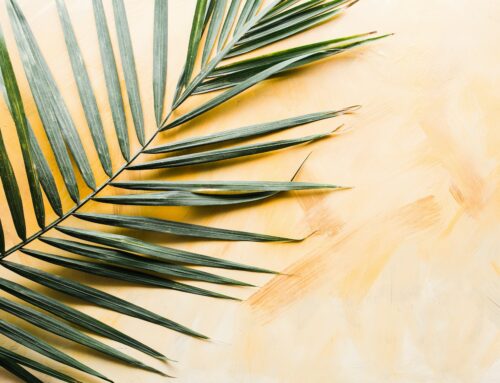 What is Palm Sunday?